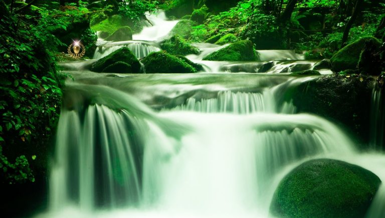the gift flash fiction